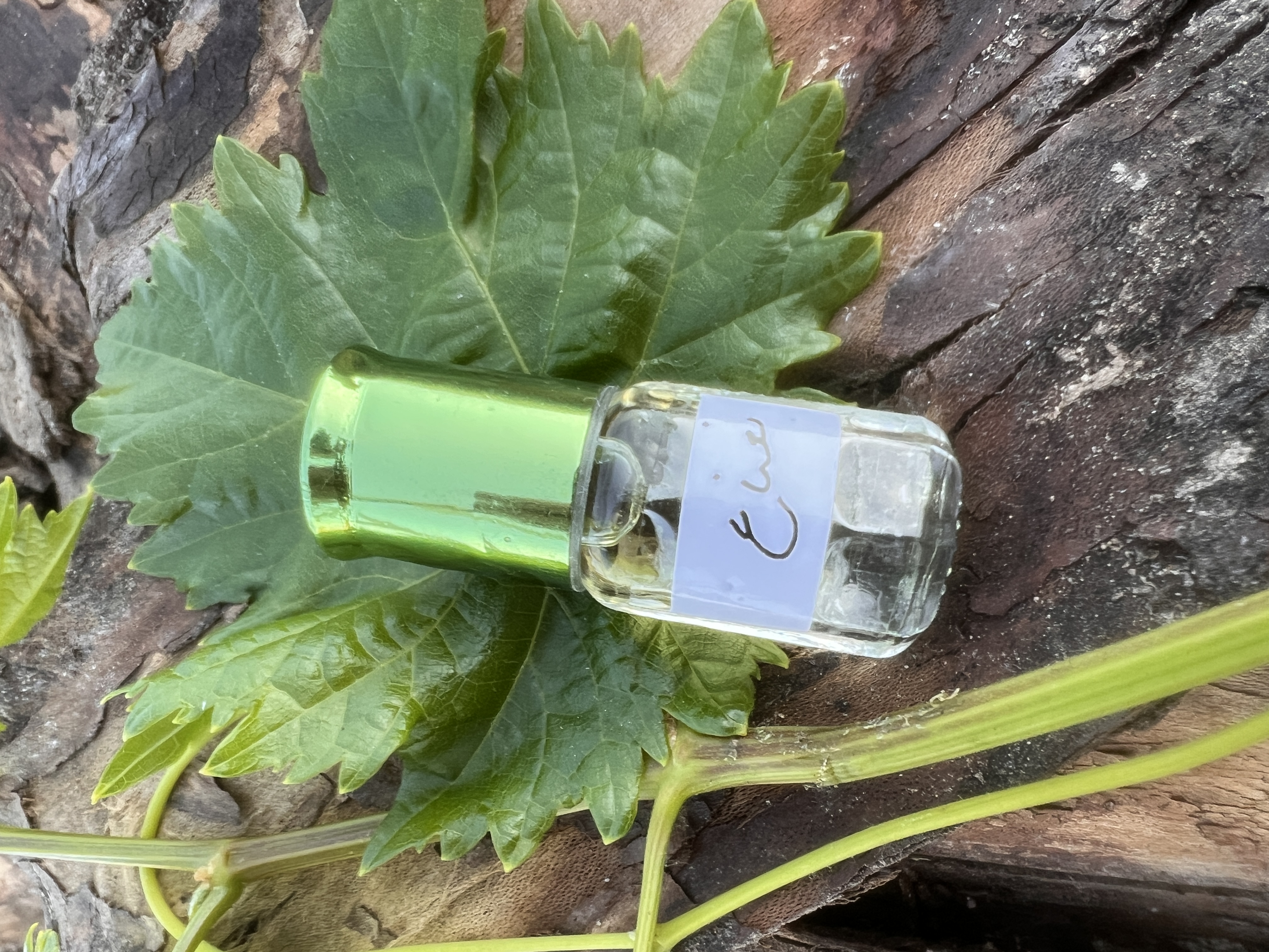 عطر نعناع