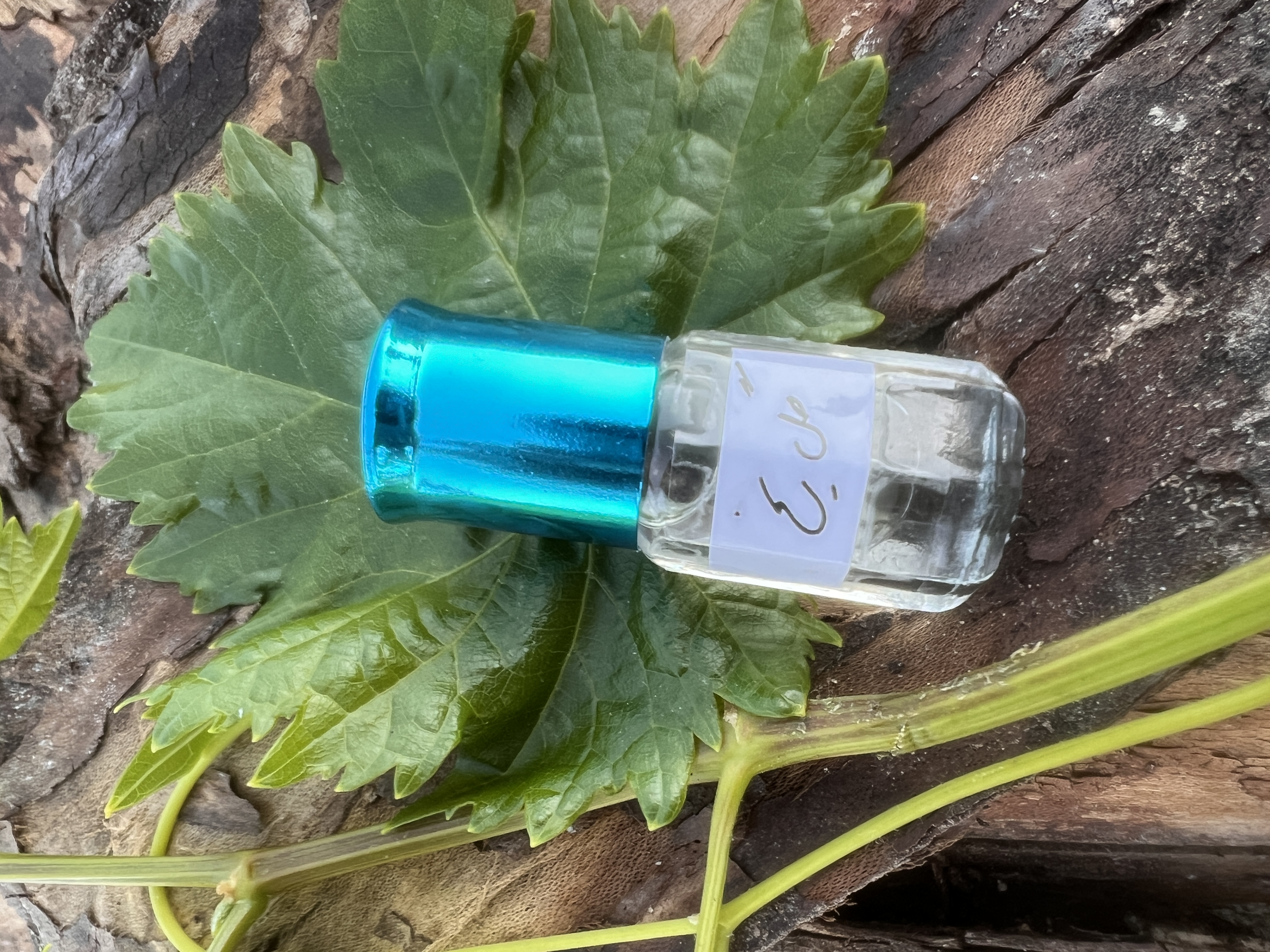 عطر گل یخ